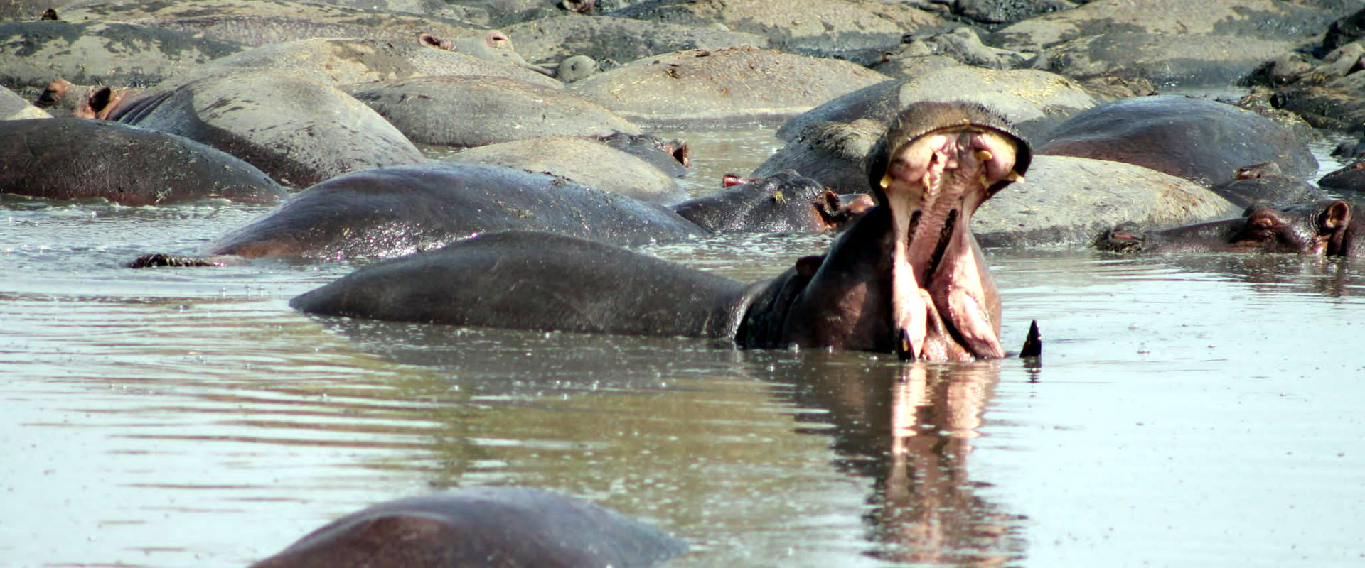 Lake Manyara National Park