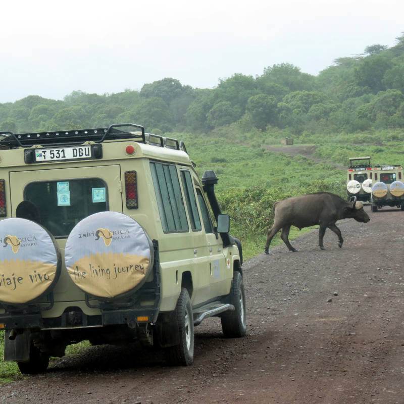 6 Days Camping Safari