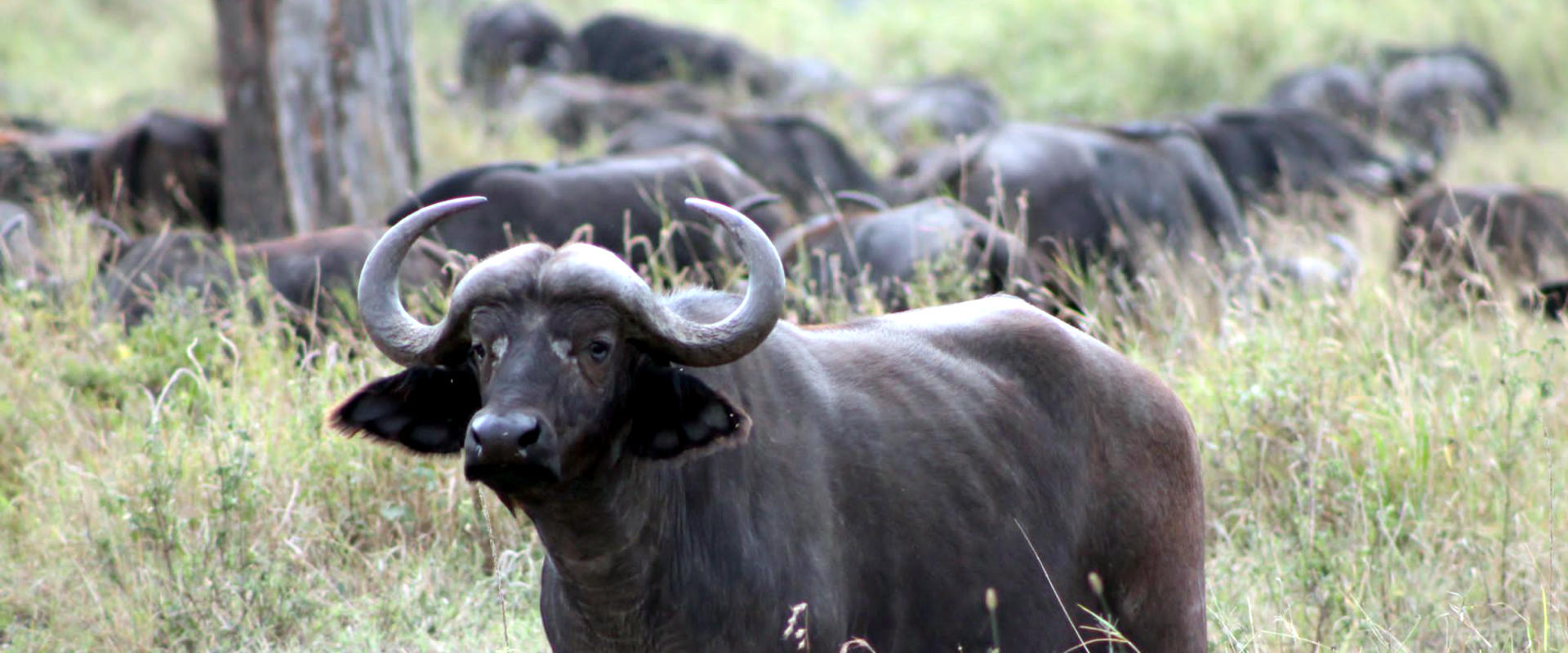 6 Days Safari with Cultural Tours