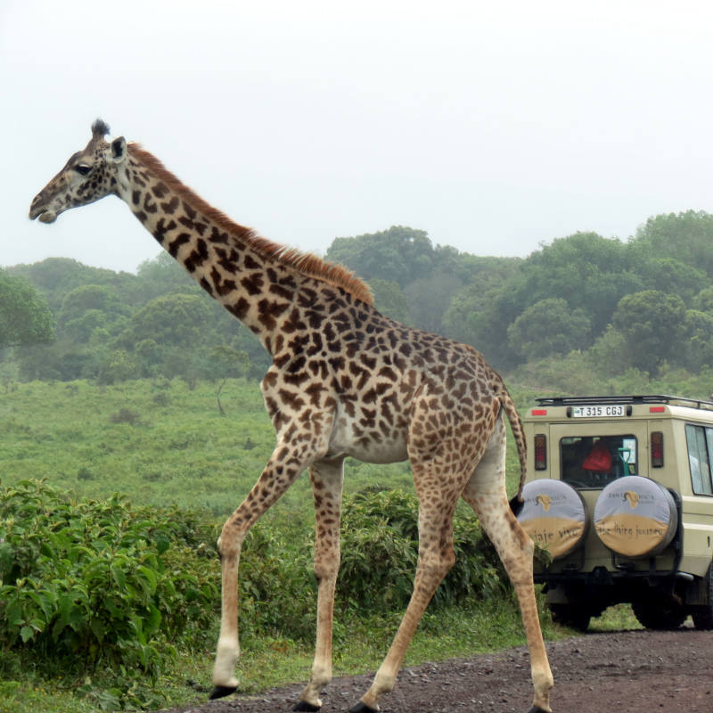 6 Days Safari with Cultural Tours